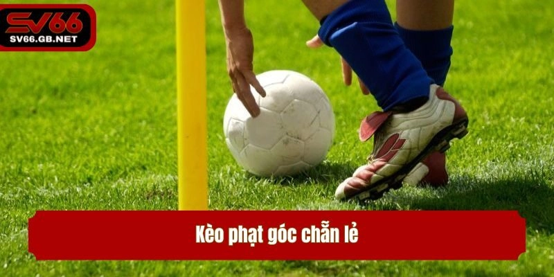 Kèo phạt góc chẵn lẻ