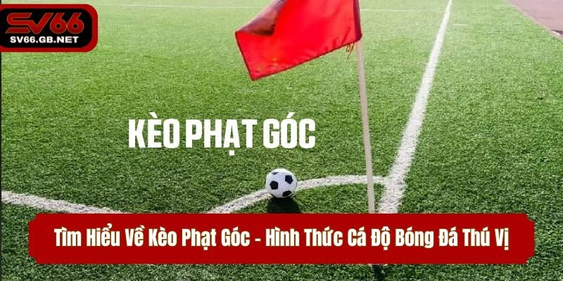 Tìm Hiểu Về Kèo Phạt Góc – Hình Thức Cá Độ Bóng Đá Thú Vị
